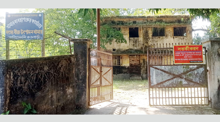 সংস্কার না হওয়ায় বালিয়াকান্দির সরকারী  মৎস্য বীজ উৎপাদন খামারের বেহাল দশা